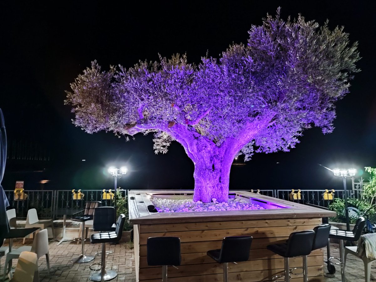 LoxoneUK's tweet image. At this restaurant, Loxone provides complete flexibility for its lighting. Scenes can be changed to match the theme of the evening, and lighting can even be tailored for specific tables.

👉 Read more here: bit.ly/4i9ymxk 

#Loxone #BuildingAutomation #LoxoneReference