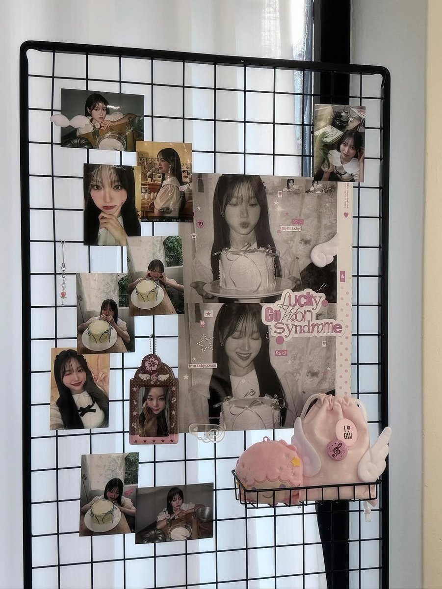고워니 tweet media