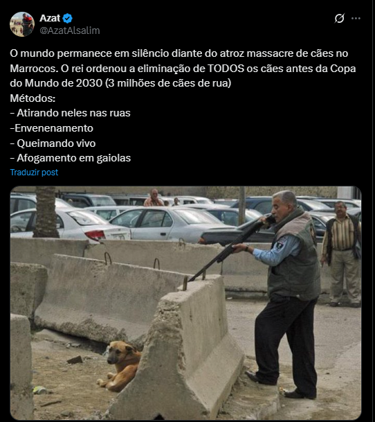 🔥 MANIFESTO 🔥

O Marrocos está exterminando cães de rua com tiros e veneno para a Copa de 2030. 
Milhões de vidas inocentes apagadas em silêncio cúmplice da <a href="/FIFAcom/">FIFA</a>  e do mundo. Isso é genocídio animal. Isso é barbárie. 
Isso não pode continuar.
#CopadoMundoFIFA