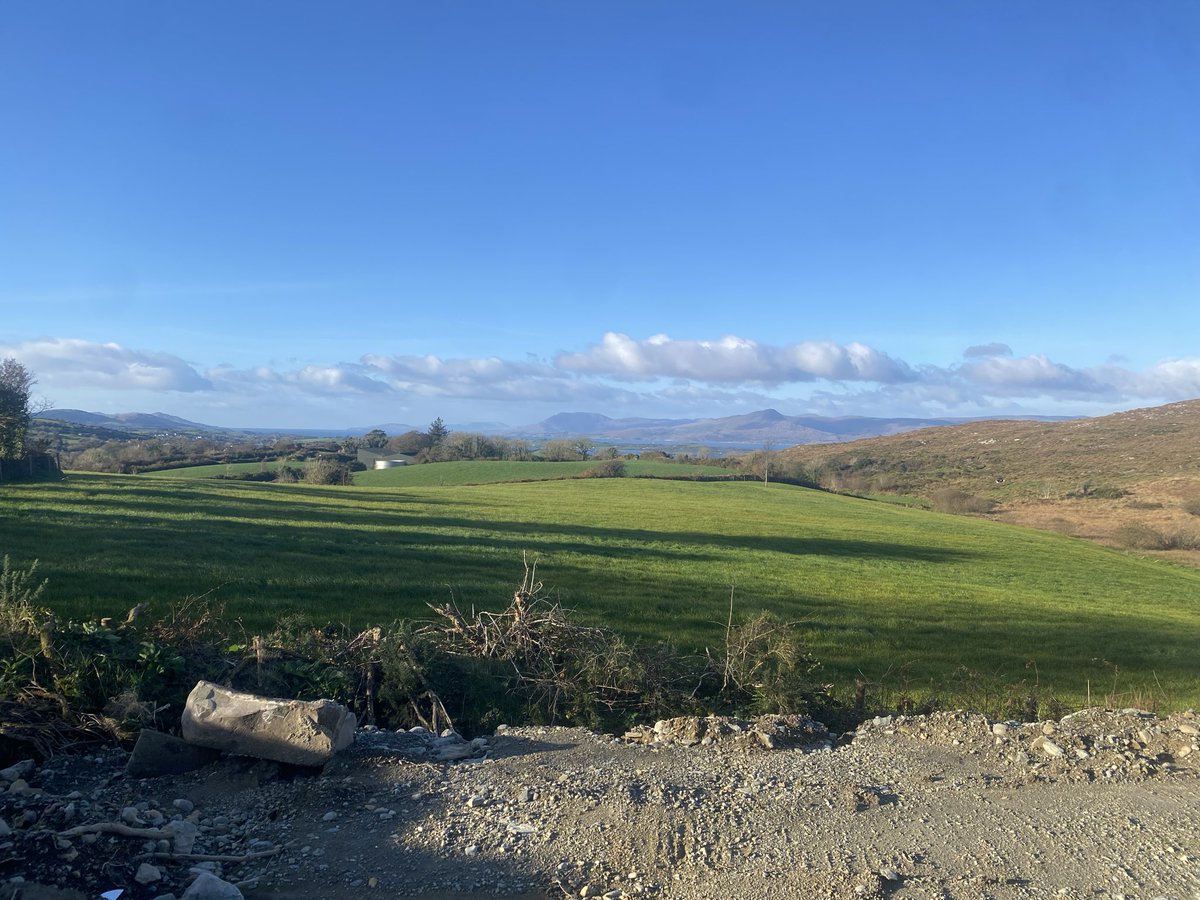 tony hourihan tweet media