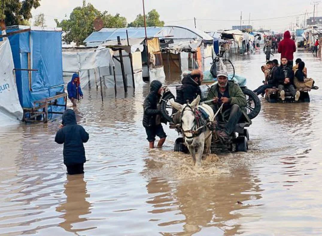 Haima7333's tweet image. يا اصحاب الترندات غـزة الآن تغـــرق
ألا تستحق ان تتحدثوا عنها الآن!