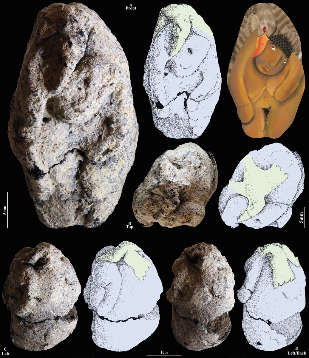 📢📷 🪿New #PaperAlert! in <a href="/PNASNews/">PNASNews</a> :   

More views of the 12,000-year-old baked clay and ochre-colored figurine of a woman and a goose discovered in Late #Natufian Nahal Ein Gev II (Upper Jordan Valley)

doi.org/10.1073/pnas.2…