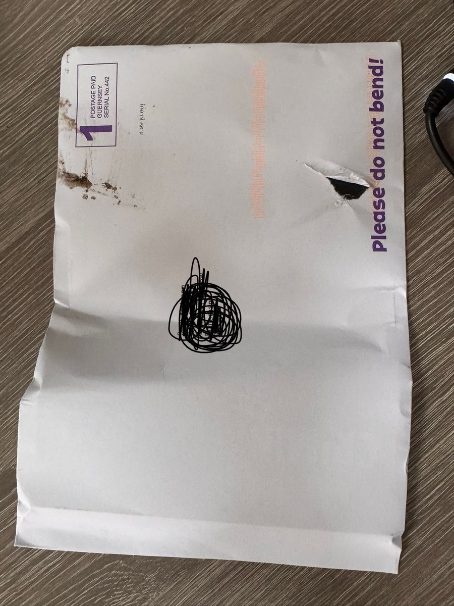 🐸Tracy Klein🐸 tweet media