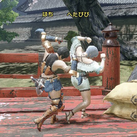 マッスル人間と
モンハンライズで
マッスルした(？)💪