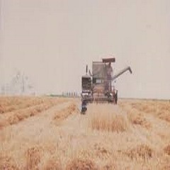 vinclefevre's tweet image. SIIIiiiiiiiiii, fallait #piger ! 
#loiret #puydedôme #àterre #donnerdusensàsavie #onsecalme #chsctglobal #morbihanvrai #pointeurope #pk195 #lune #soleil