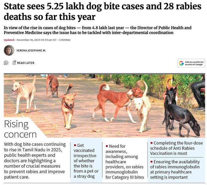 thil_sek's tweet image. தெருநாய் கடிகள்:
2024 = 4,80,000
2025 = 5,25,000

இதில் 60% victims, குழந்தைகள். 2 ஆண்டுகளில், 60க்கும் மேற்பட்டோர் RABIES வந்து இறந்துள்ளனர். ஆனால், SC வழிகாட்டுதல்கள்,இன்னும் முழுமையாக IMPLEMENT செய்ய படவில்லை.இதில் தெருநாயால் ஏற்படும் accidents கணக்கில் எடுக்கப்படவில்லை 😭😭