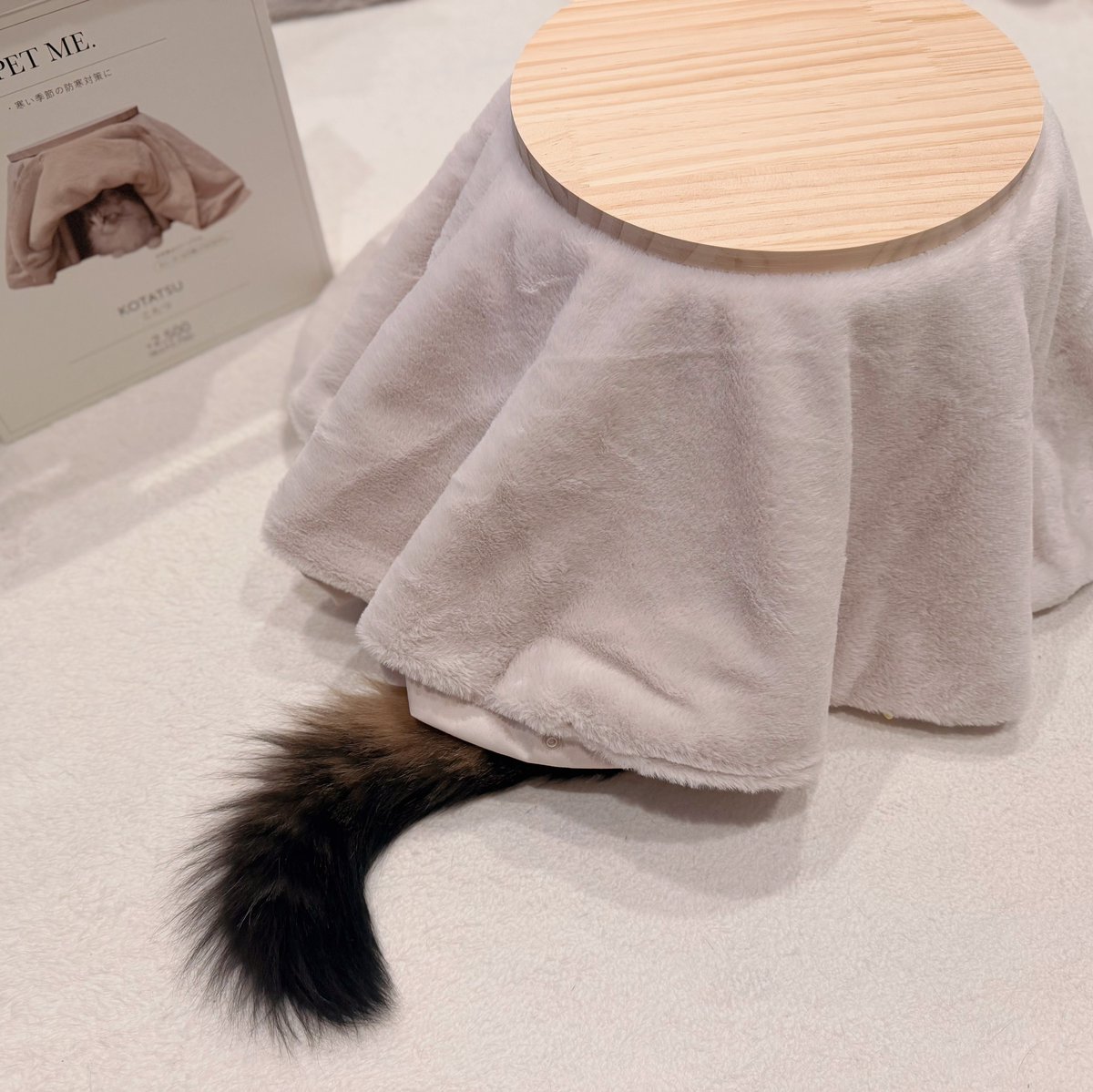 組み立て後3秒で吸い込まれていった