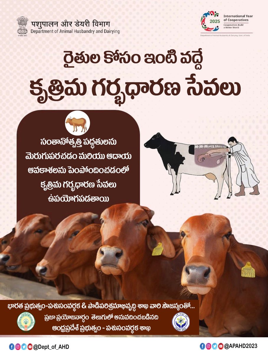 APAHD2023's tweet image. రైతుల కోసం ఇంటి వద్దే కృత్రిమ గర్భాధారణ సేవలు  
#RashtriyaGokulMission #DeptOfAHD
#DairyDevelopment #LivestockGrowth #FarmersFirst #AnimalHusbandry #SwasthPashuSwasthDesh #apahd2023 #apahd #apdah #AndhraPradesh