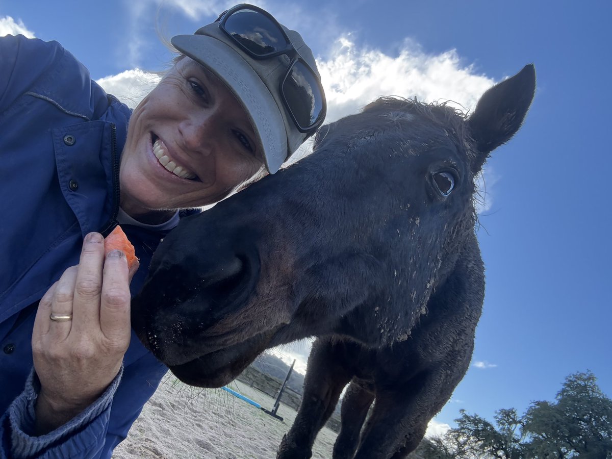 GloriousAllianc's tweet image. Hackleton then brought lovely calm to the arena, having carrots, grooming and then a graze. K needed a break after reading Nileist the riot act…