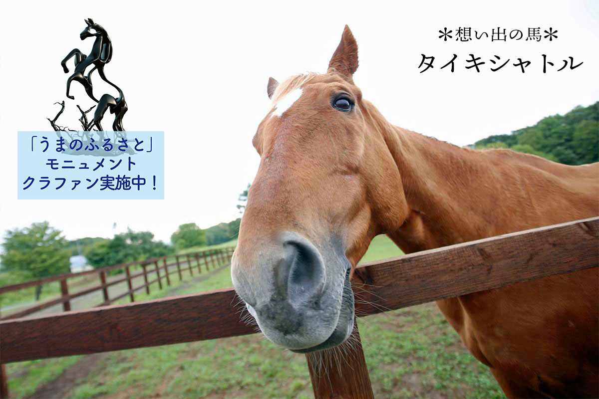 本日11月23日は、マイルチャンピオンシップ！ タイキシャトルは1997年