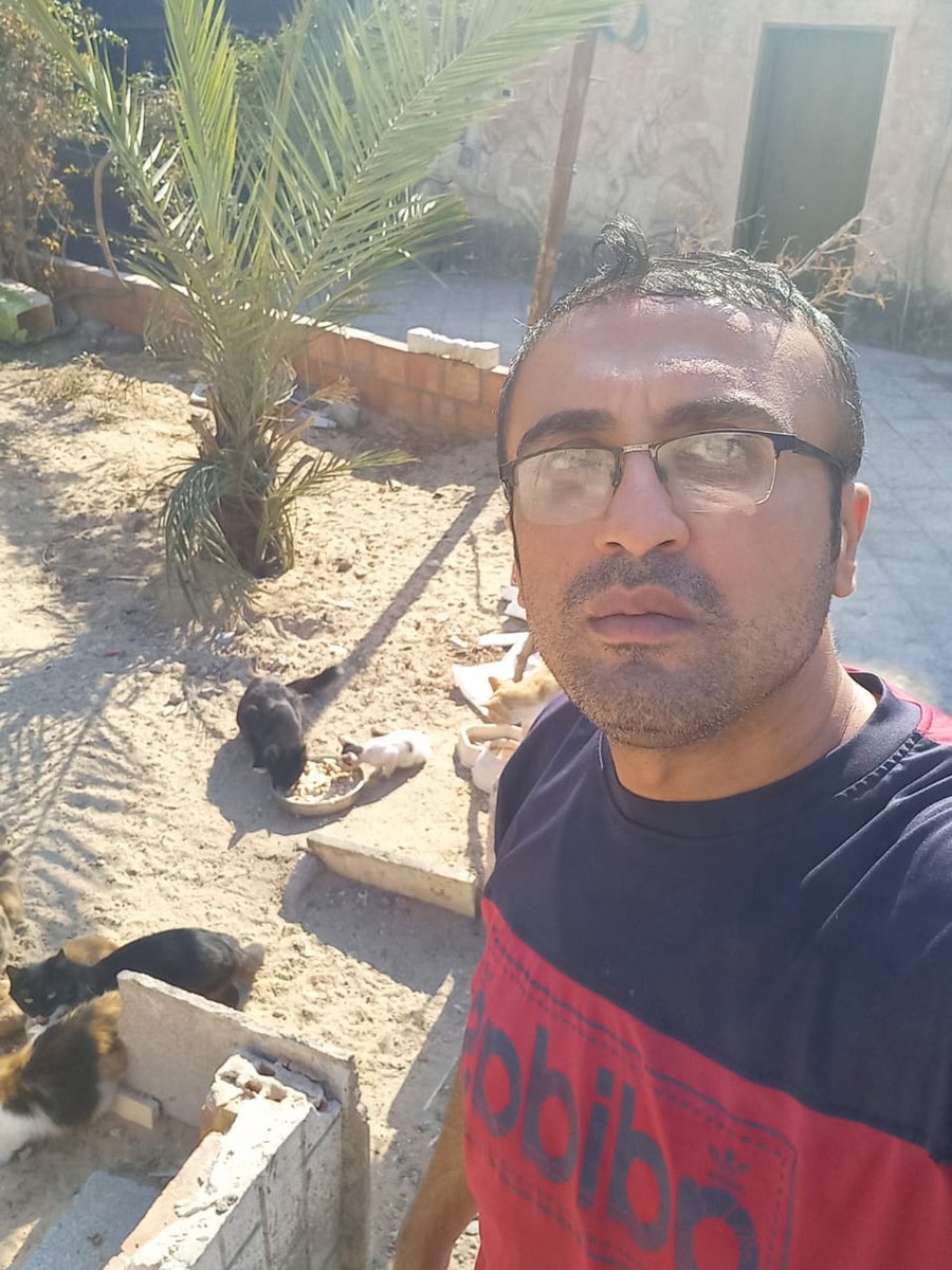 helpcatsmsallam's tweet image. I&apos;m tired... tired of everything: the attempts, the silence, the pretense of being strong, while inside I&apos;m falling apart little by little every day.

And all the pain inside me grew and grew until it became too heavy for me to bear.

Maybe it wasn&apos;t my fault, maybe I wasn&apos;t…