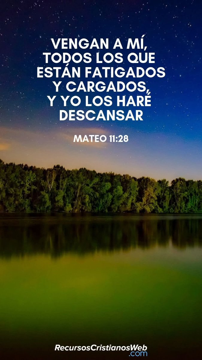 dani1975edm's tweet image. La Gloria es de Cristo Jesús 🙏 
Amén