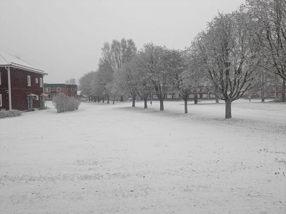 Hell on earth visualized this morning