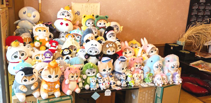 寒くなったら鍋料理。肌寒さを感じたら鍋コース料理を豊しげで。ふぐ鍋、寄せ鍋ぜひ！　北野天満宮近く　豊しげ　#豊しげ　#予約制　#ふぐコース　#寄せ鍋コース　#ふぐ鍋　#てっちり　#寿司　#京料理　#モフサンド　みなさまのご来店・ご予約お待ちしております。