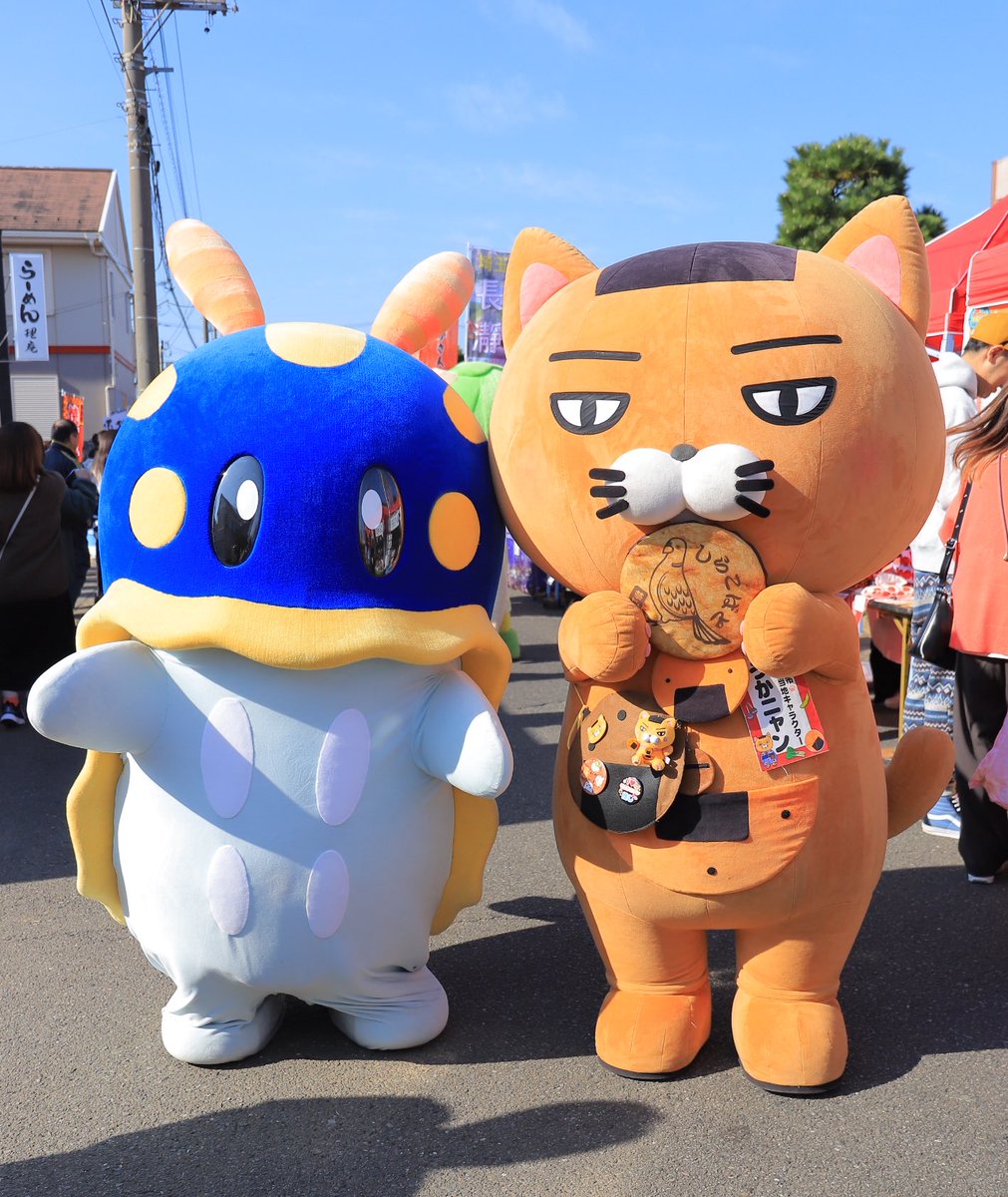 ニャン☆さま　専用です 楽天市場】賞味期限間近(2025年12月7日)のため価格改定【441円→220円