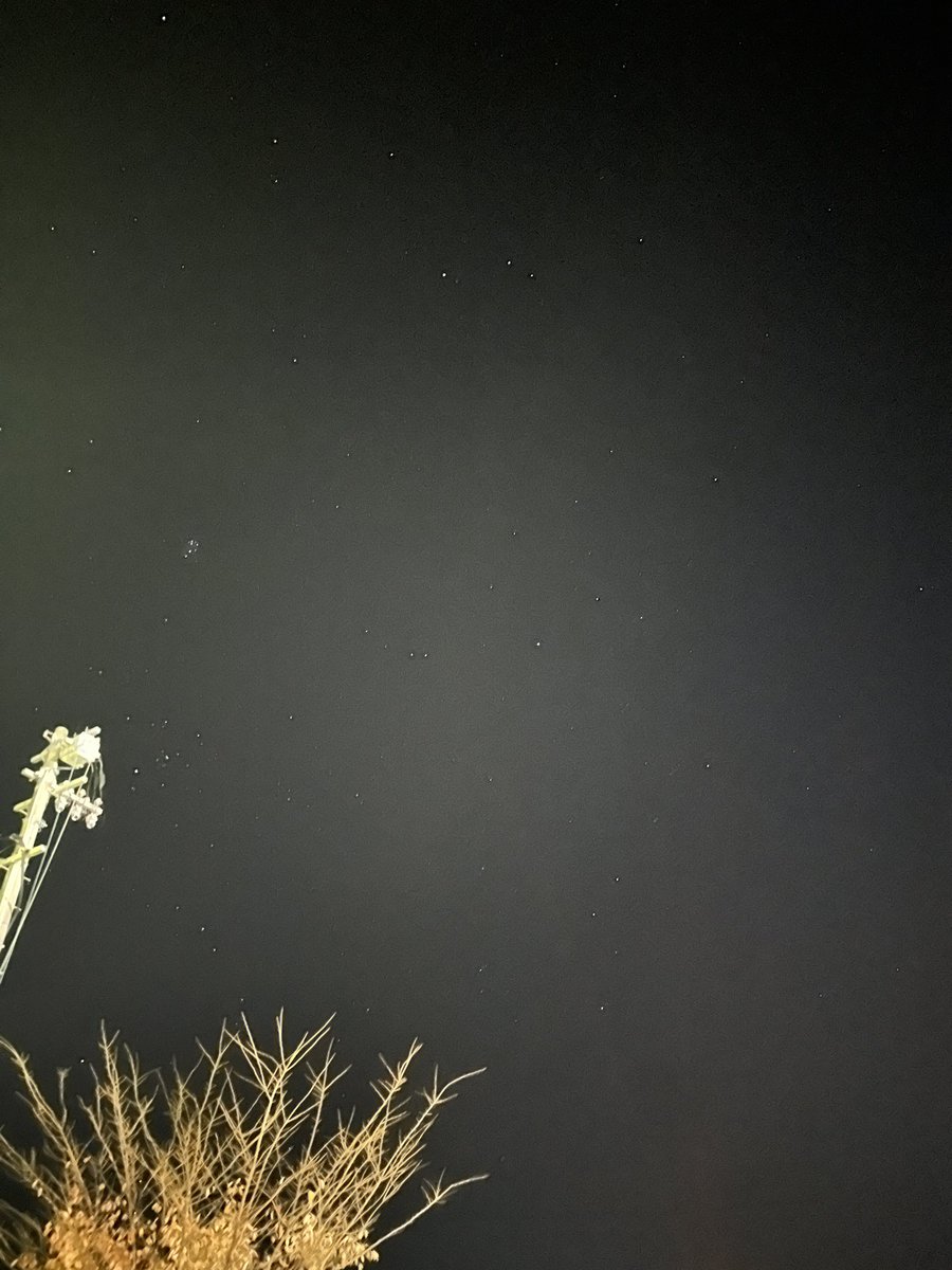 今、街灯も無いような田んぼ道散歩してるんだけど、冬の澄んだ空気の中で眺める星空が綺麗すぎて全人類に一緒に眺めてほしい。