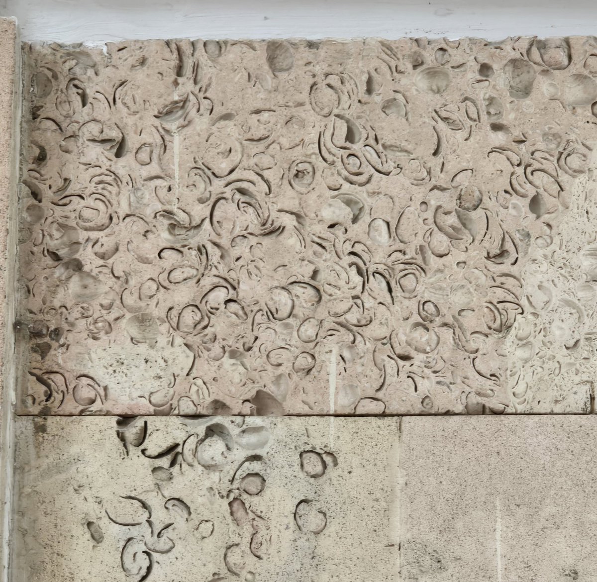 •Дансен• мини-рест tweet media