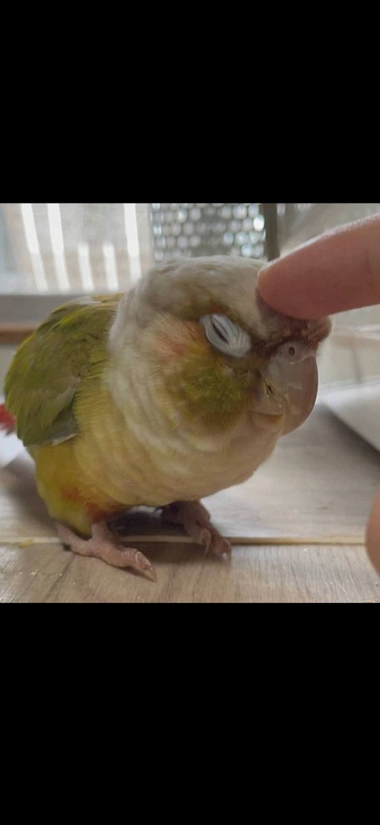 Rabbitbutt12's tweet image. 今夜の
ワンニャフル物語！
テレビ東京いいなあームツゴロウさん生活とても大変だけれども？あんなところで働きたいなぁ✨憧れる🐴