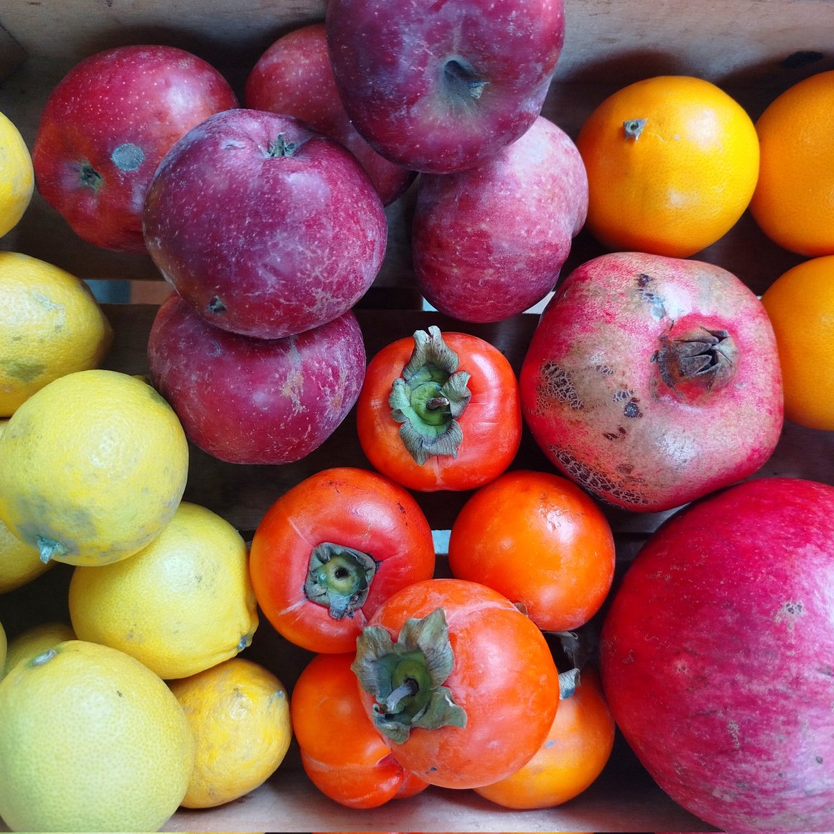 GoztepeKoop's tweet image. Çarşambanın bereketli sebzeleri, meyveleri miss gibi yeşillikleri kooperatifte 💚💙

#göztepekoop #kooperatif #kooperatifçilik #dayanışma #tazesebzemeyve #gıdahakkı #gıdaegemenliği #yaşamıbirlikteörgütlüyoruz