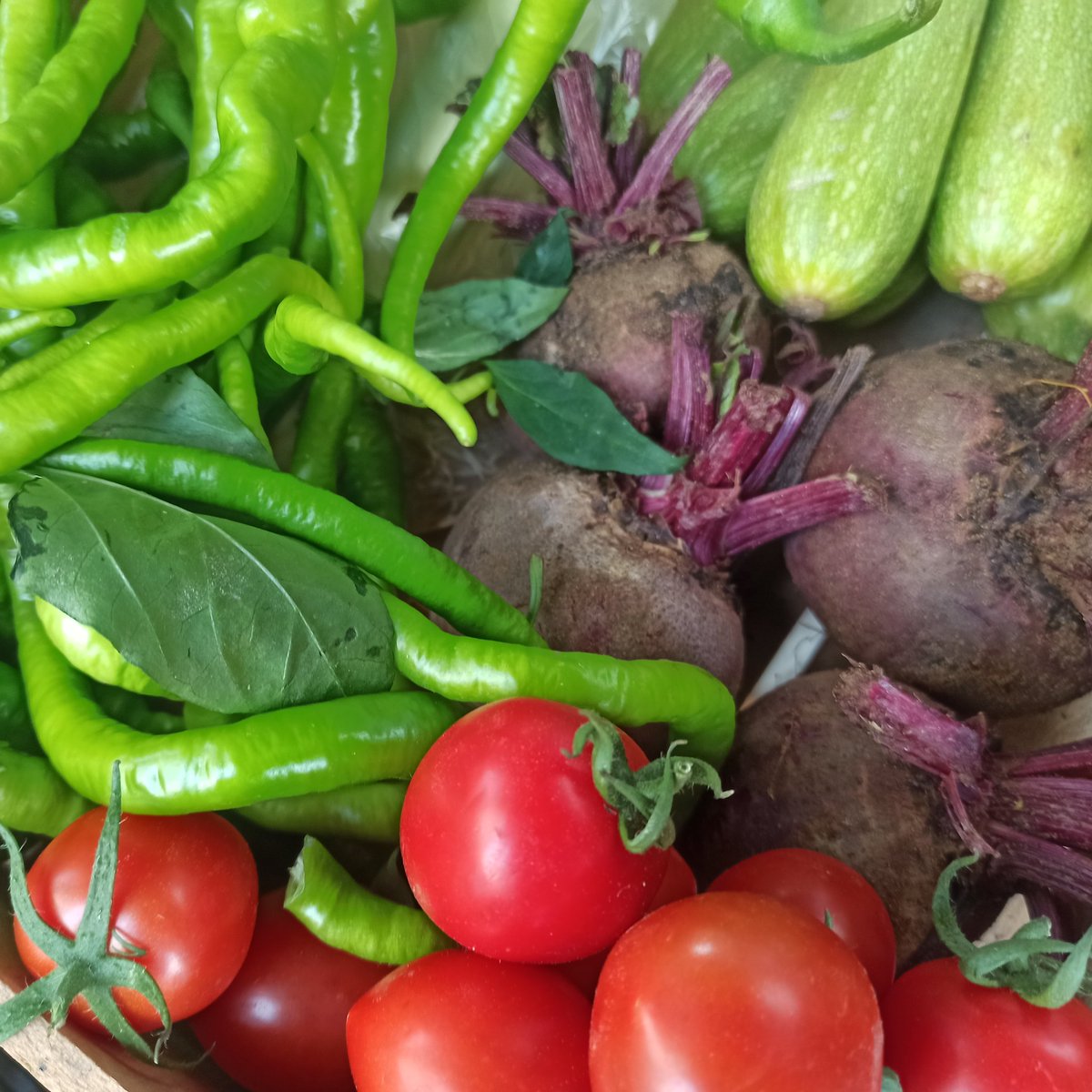 GoztepeKoop's tweet image. Çarşambanın bereketli sebzeleri, meyveleri miss gibi yeşillikleri kooperatifte 💚💙

#göztepekoop #kooperatif #kooperatifçilik #dayanışma #tazesebzemeyve #gıdahakkı #gıdaegemenliği #yaşamıbirlikteörgütlüyoruz