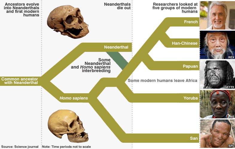 _skhmt's tweet image. Dnt 4get , We are all animals !

Africans have the source code, the branched lineage(neanderthal line) is a mutation. 

-Think of it as nature using the mutation to &apos;TEST&apos; the original... &amp;amp; many aint supposed to make it.

Nature is strange !

x.com/_skhmt/status/… #ADOS #FBA