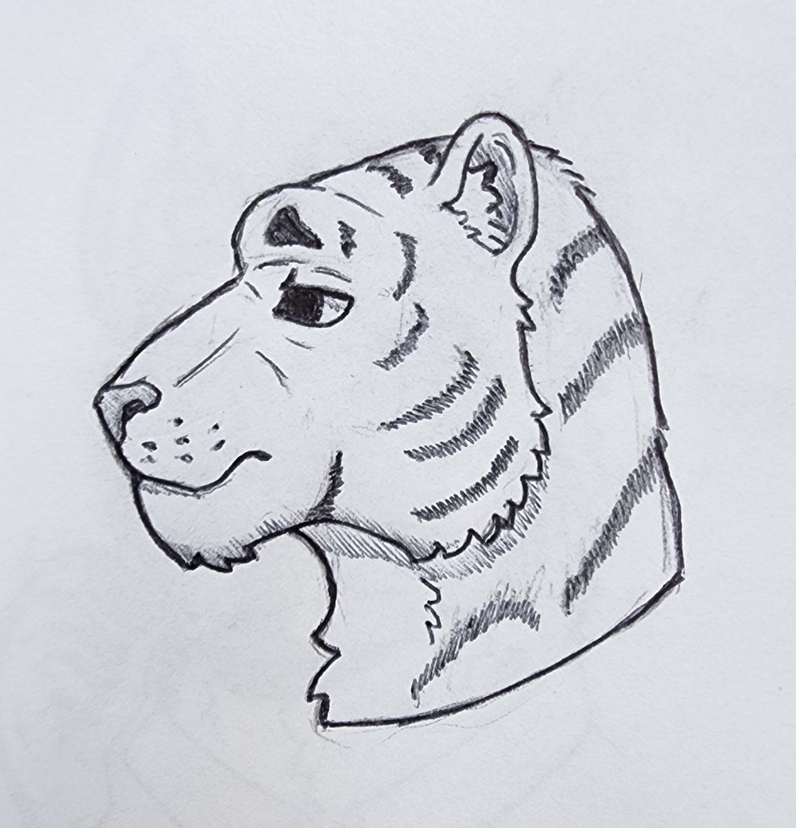 KRenvilo's tweet image. Bom dia pessoal !
Fiz um gatinho