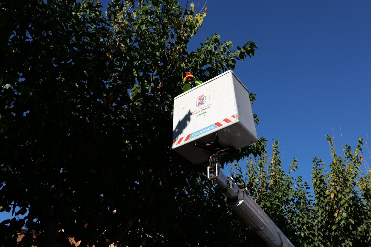Ayuntamiento de Cartagena tweet media