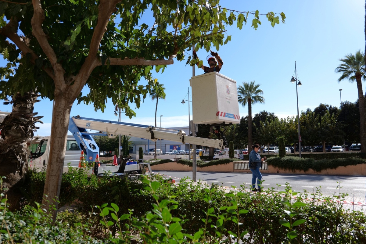 Ayuntamiento de Cartagena tweet media