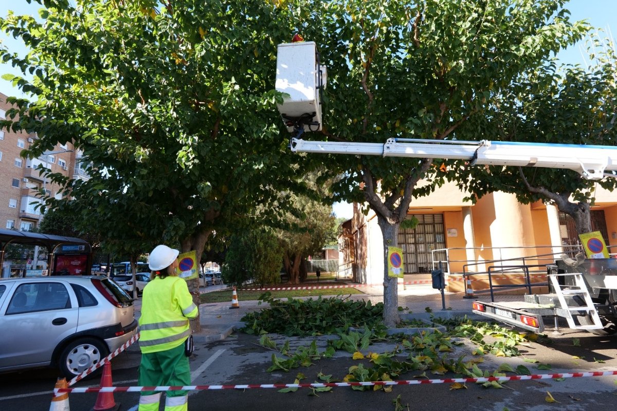 Ayuntamiento de Cartagena tweet media