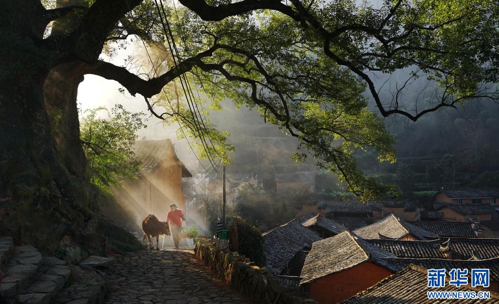 DailyBeijing's tweet image. Songyang, where the Jiuceng Art #Gallery is located, has the largest and best-preserved cluster of #ancient #villages in East China, with 78 national-level traditional villages. The gallery&apos;s popularity among visitors has boosted the local #tourism industry. #chinatravel