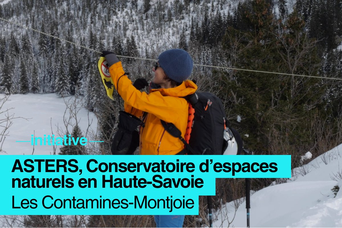 Dans la réserve des Contamines-Montjoie, le ski de rando se pratique en conscience. Pour préserver le tétras-lyre et la biodiversité, suivez les balisages, limitez les traces, restez groupés et observez sans déranger. 🎥Mountain Change Makers skiinfo.fr/news/comment-p…