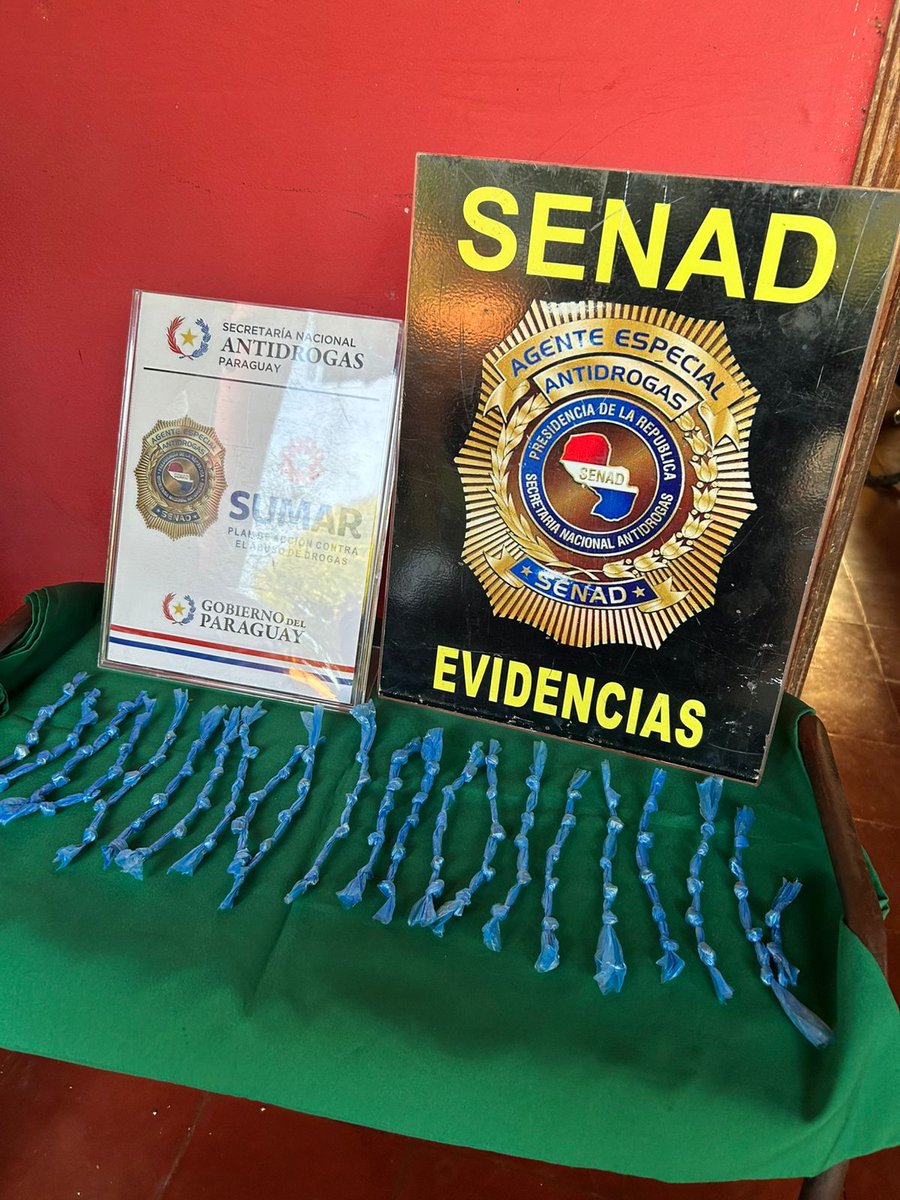 Senad_py's tweet image. #SUMAR Encarnación 

Desmantelamos red de microtráfico en San Pedro.
Operativo ejecutado en tres viviendas: acopio, distribución y vigilancia.

📌 3 detenidos
📌 +100 dosis de crack incautadas

Acción enmarcada en el Plan Sumar para erradicar focos urbanos de microtráfico.