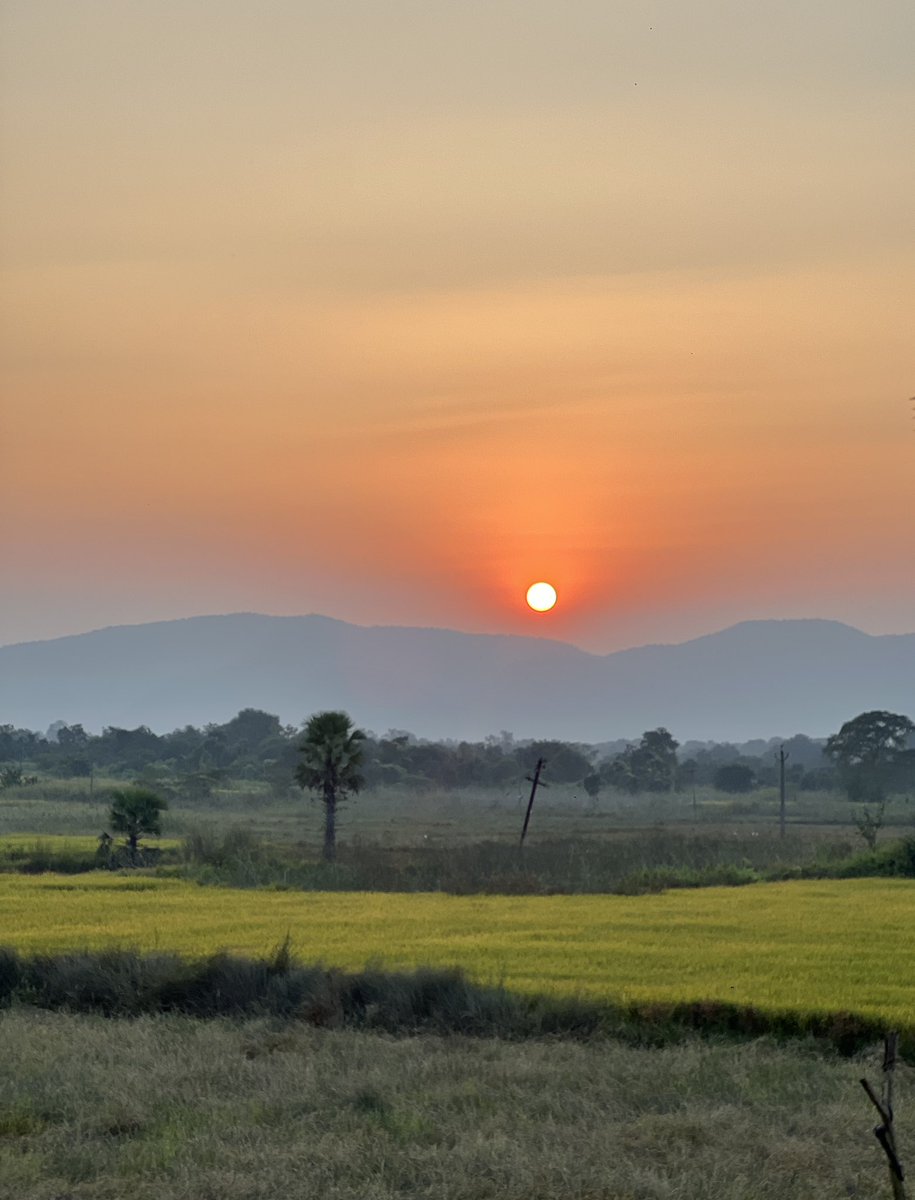 lokipalauri's tweet image. Sun-Kissed Evening✨

#OdishaByRoad