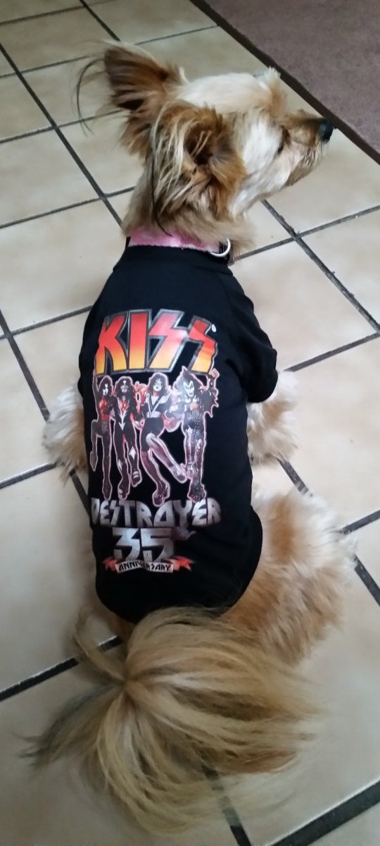 MaggieHeroDog's tweet photo. 👋 Paul,
 I'd like to say #ThankYou !You were ever so Kind To Maggie(#4Paws)& Myself. You Rocked us Our Whole lives & @kiss is an #American #Rock #Band. It's just unfortunate that when the #Almighty gives the call.We don't know.We Love You & Again Thank You,for bringing so much joy Thru Music to all the #KISSARMY.🐕🎸🎙🎶🔊
Ps.Ruff and Roll 🤟
@PaulStanleyLive