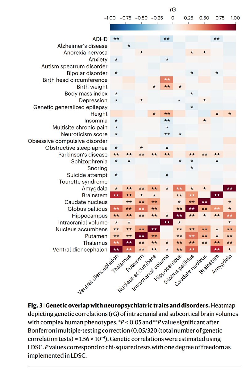 KirkegaardEmil's tweet image. Brain volume/size mostly correlates with other positive things, as one would expect since it is a part of the intelligence nexus. However, strangely, brain volume correlates and seemingly causes Parkinson&apos;s disease.