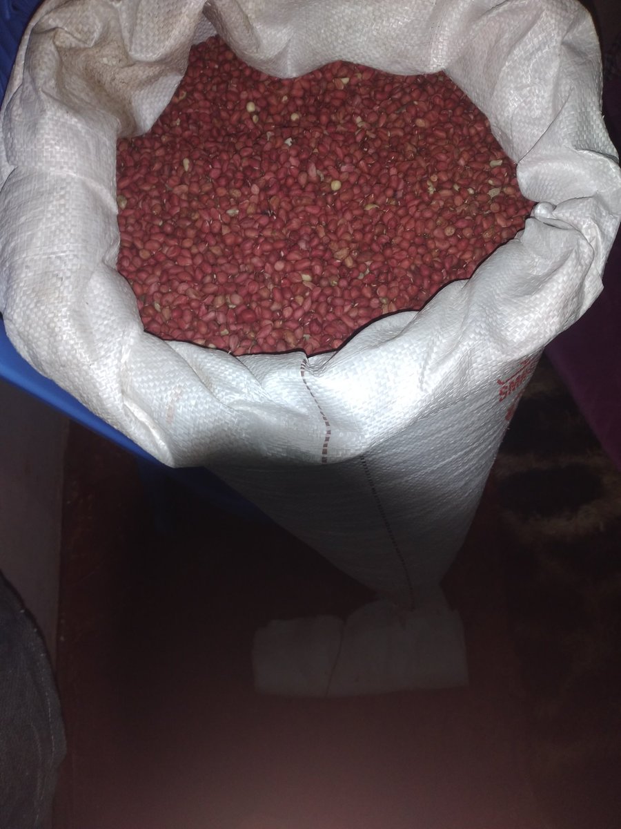 KennethKSamson's tweet photo. @Newtonnizzoh Best nuts in east and central Africa. Ksh.280 per kg. Within Meru but deliveries can be organised. Call: 0710543212 https://t.co/2TjYARntCx