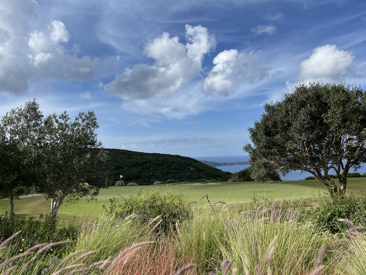 Kit Alexander tweet media