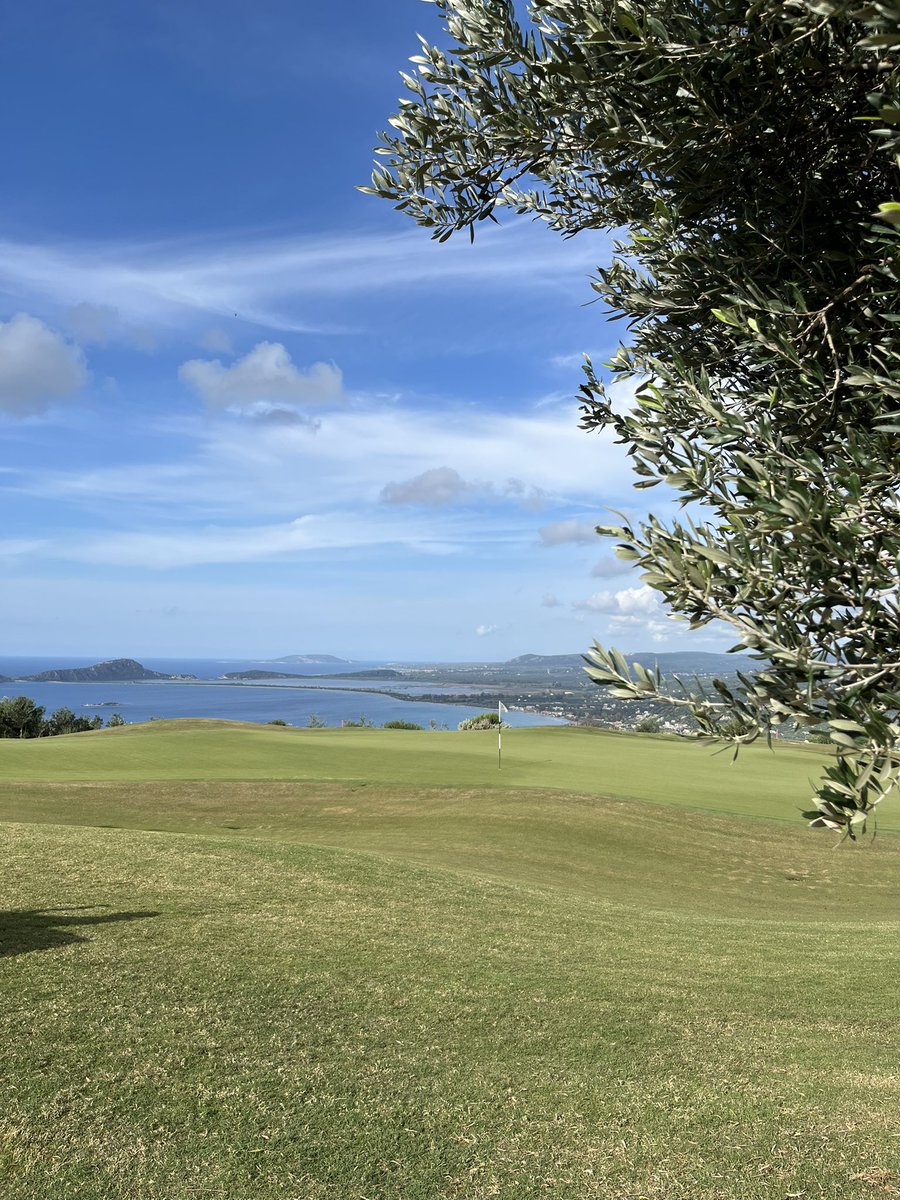 Kit Alexander tweet media