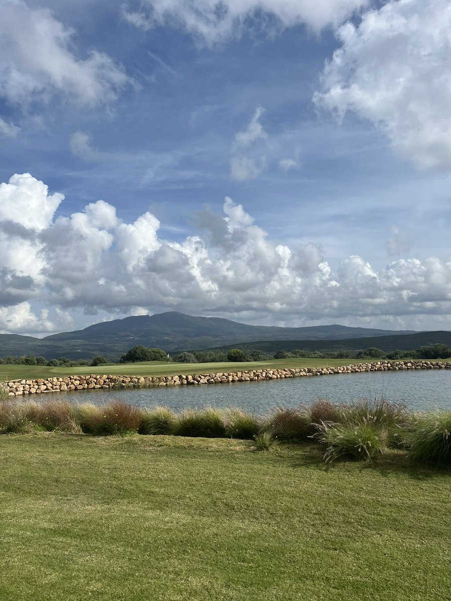 Kit Alexander tweet media