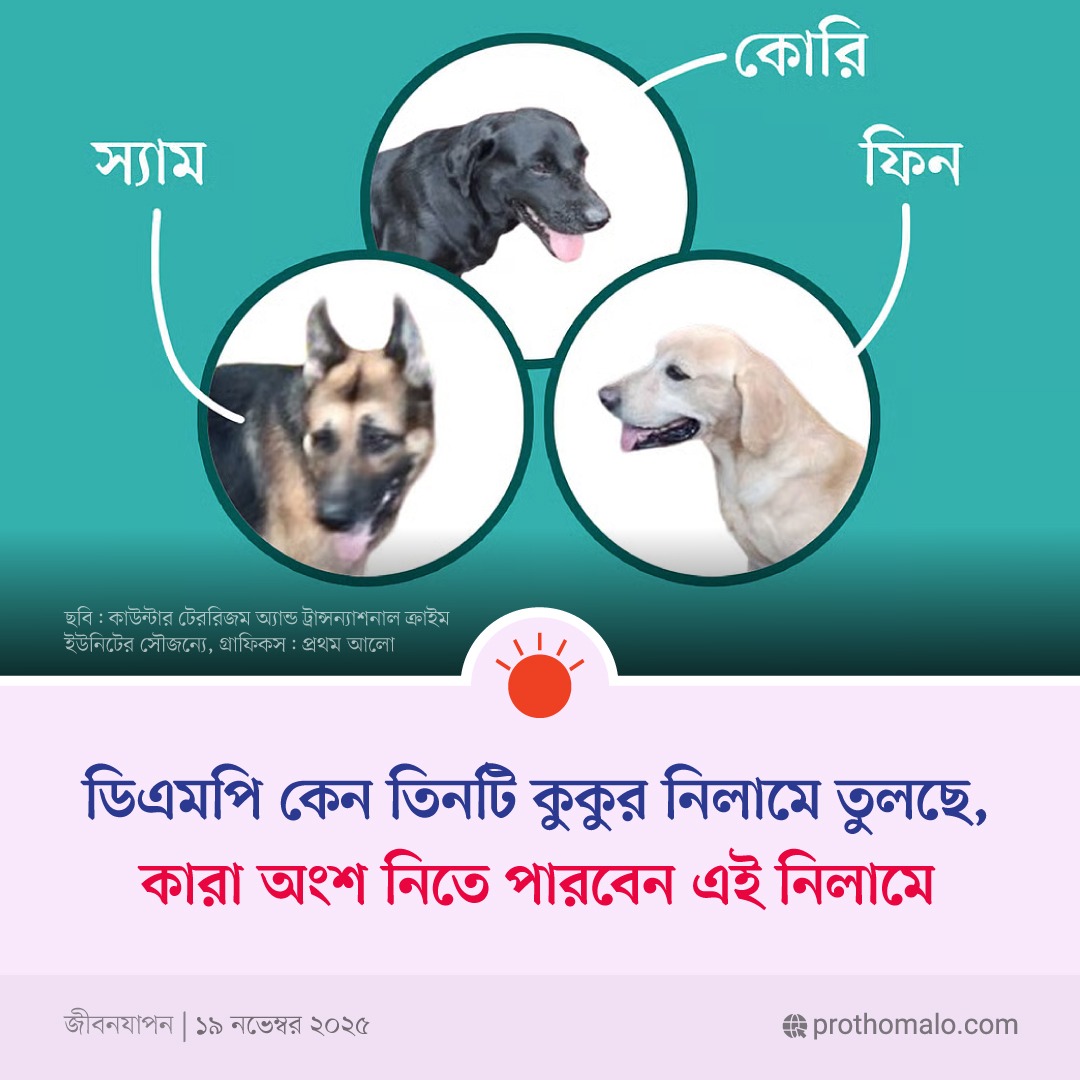 ProthomAlo's tweet image. বিস্তারিত :
pulse.ly/zxq19fhjmp