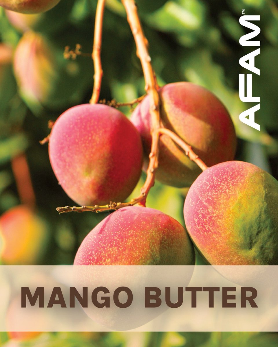 afamghana's tweet image. 🍑🌿 Juicy roots, buttery results. Mango butter brings deep moisture straight from nature’s sweetest fruit. Your curls crave mango magic—and we deliver it fresh.
#HawaiianSilky #MangoButter #AFAMConcept #LustiHairCare #LeisureCurl #QueenHeleneBeauty #VitaleHairCare #OssatHairCare