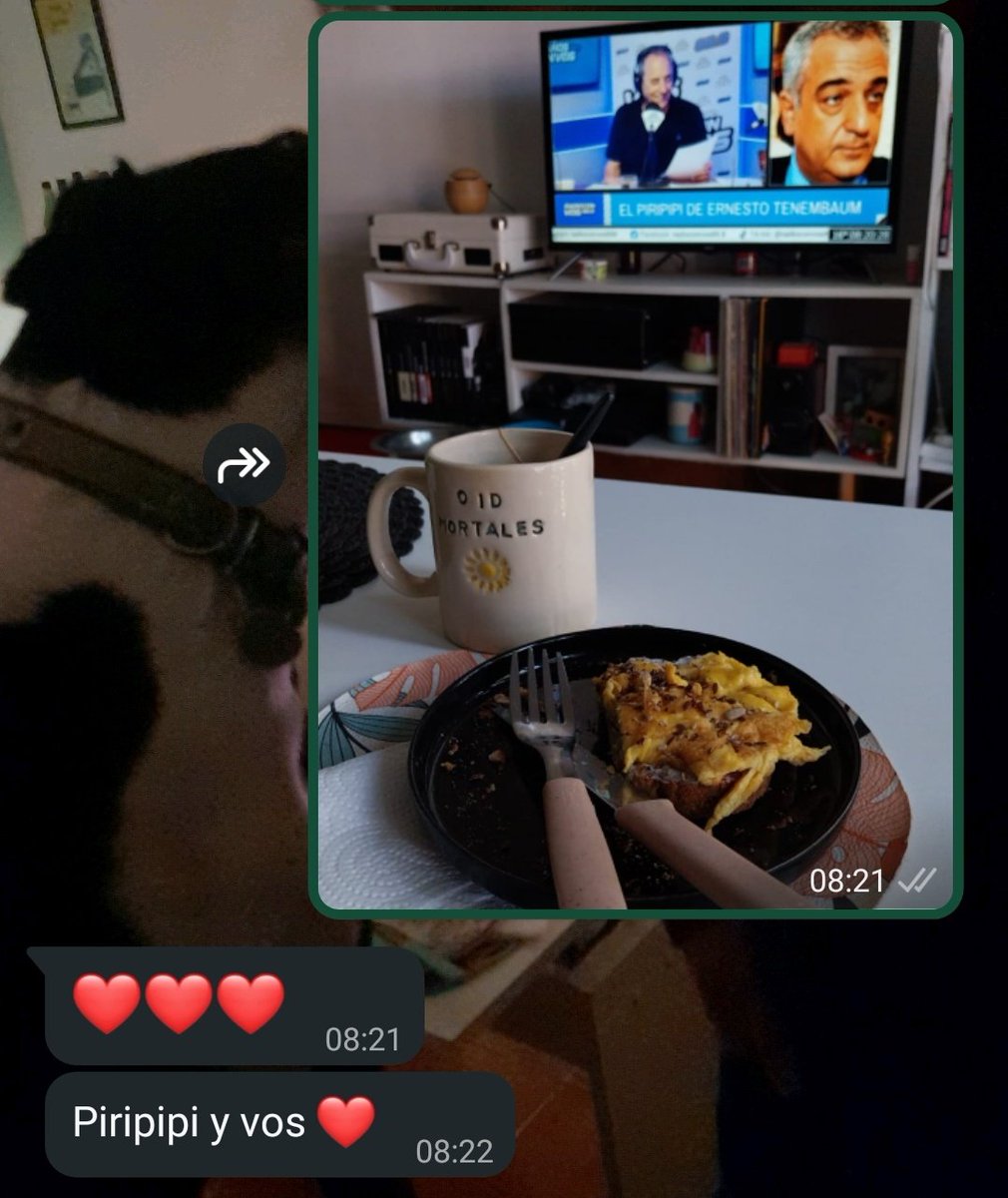 de romances y ernestos