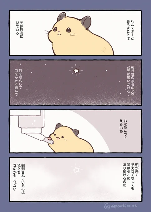 【エッセイ】
ハムスターとの暮らしは天体観測に似ている 