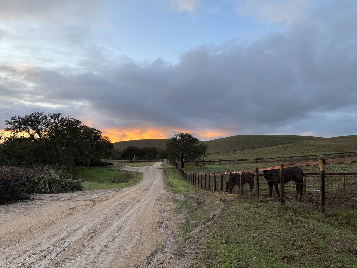 GloriousAllianc's tweet image. Nileist and Hackleton’s sunset dinner view.. The date beetle orchestra plays the tiniest violins…