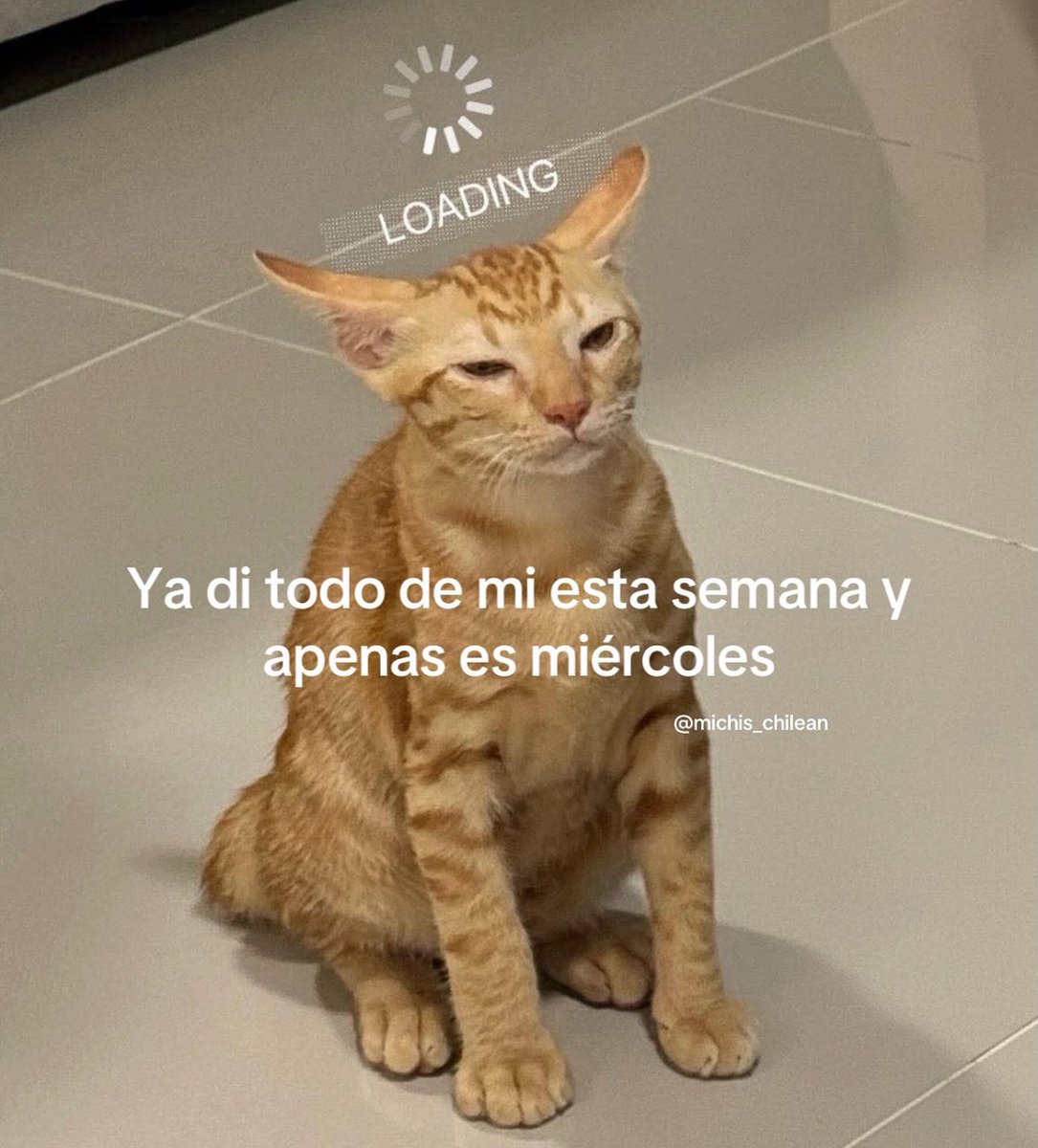 piña sin pizza (@skereunpesado) on Twitter photo 