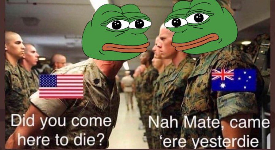 8Notables's tweet image. Gm frens 🐸