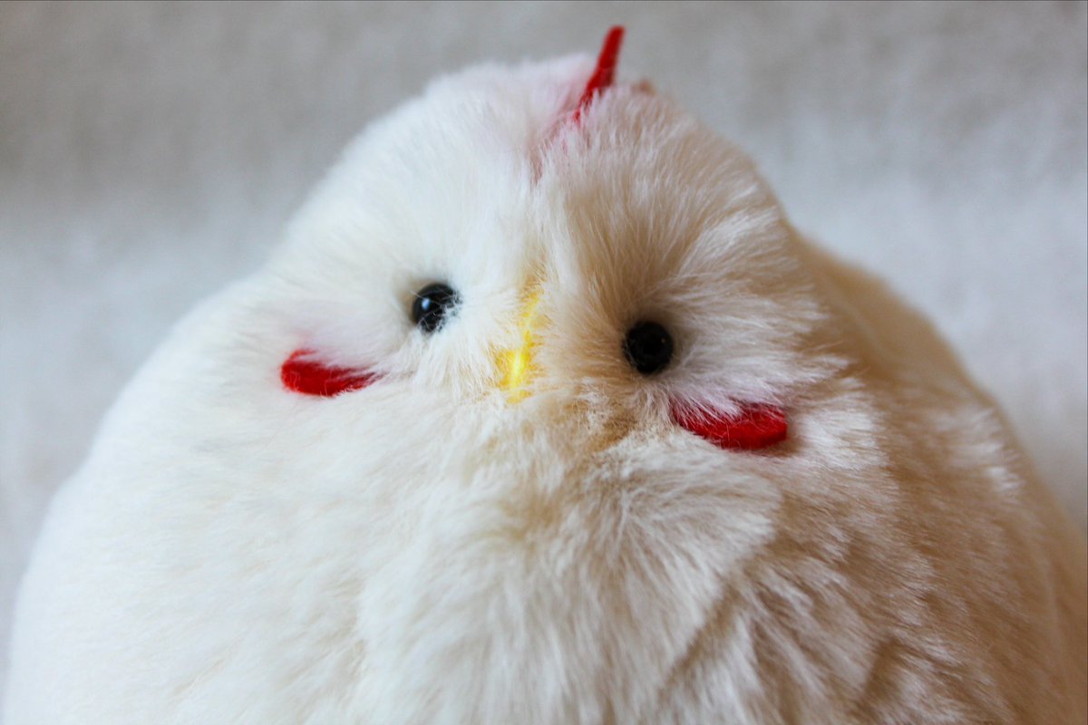 まんまるグリフォンの新規販売とふっくら雷鳥、ふっくらニワトリの再販売を開始しました🕊️