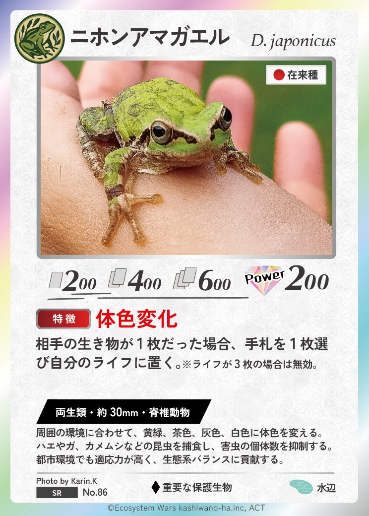 Ecosystem_Wars's tweet image. 🐸🌿生態系ウォーズ カード化フォトコンテスト✨
🎉入賞おめでとうございます🎉

カード名は「ニホンアマガエル」🍃
周囲の環境に合わせて、黄緑・茶色・灰色・白色などに体色を変える“変幻の名手”。
ハエやカメムシなどの昆虫を捕食し、都市環境の害虫調整にも貢献する頼れる存在です🐞✨…
