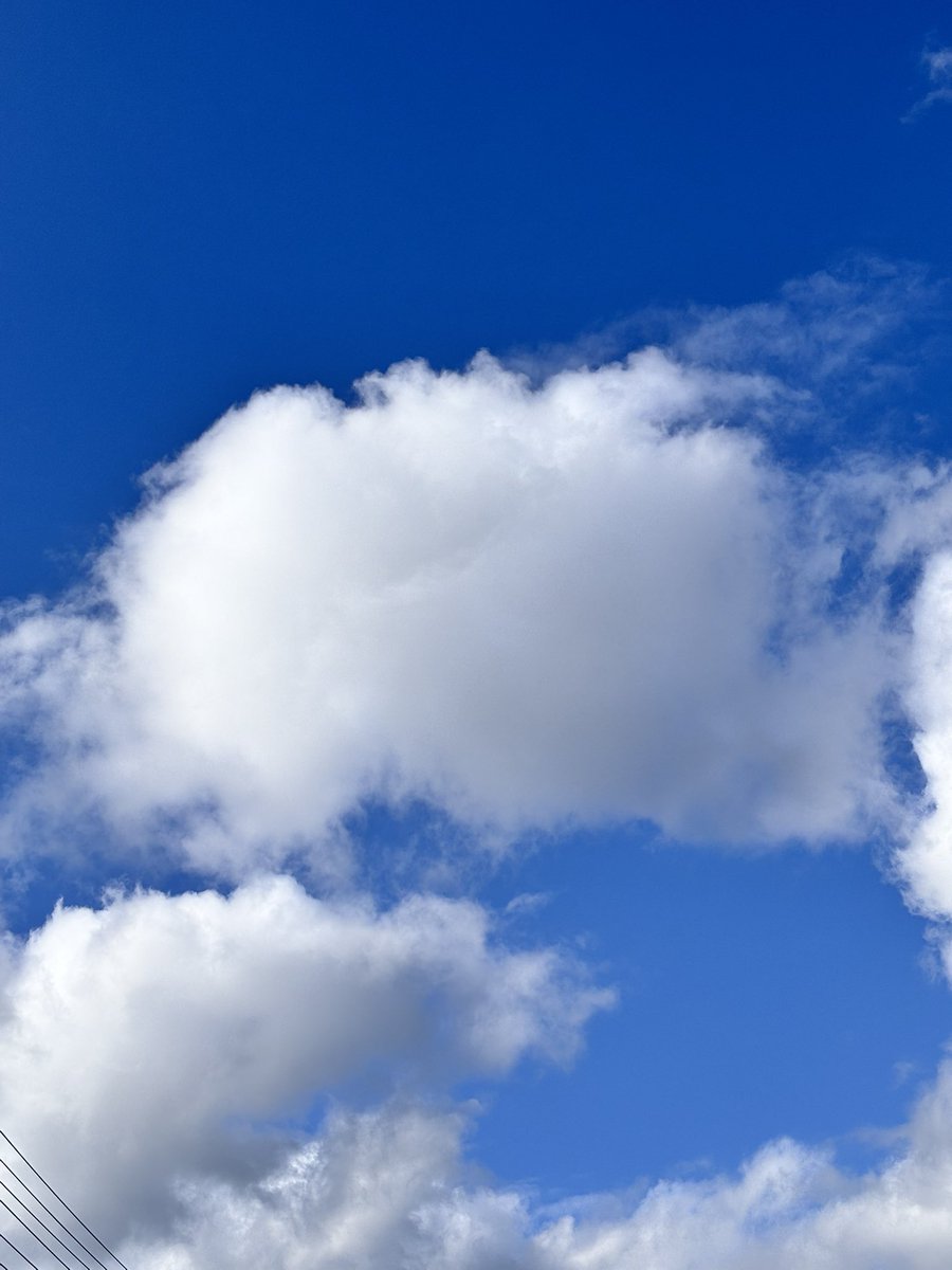 今日は可愛い雲に出会えた☁️☁️☁️
ふわふわで綿菓子みたい😆💕

たまにはホッと一息つけてるかな？
たくさんお仕事してくれてほんとにありがとう🥹😭

#羽生クラスタ空部