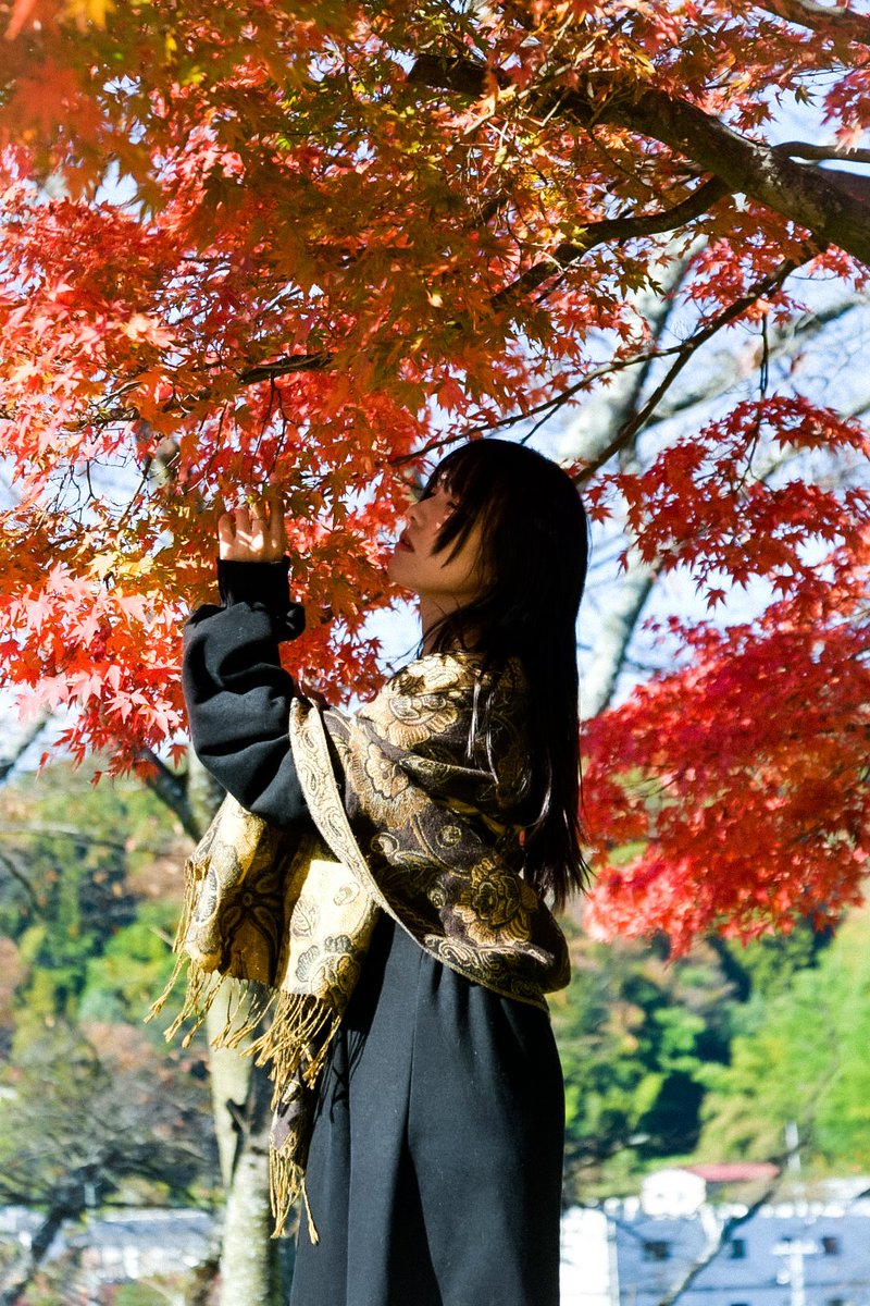 Po1vodeestrella's tweet image. model/@mika0314__

『秋風の燦歌.2』

#po1vodeestrella_ptr